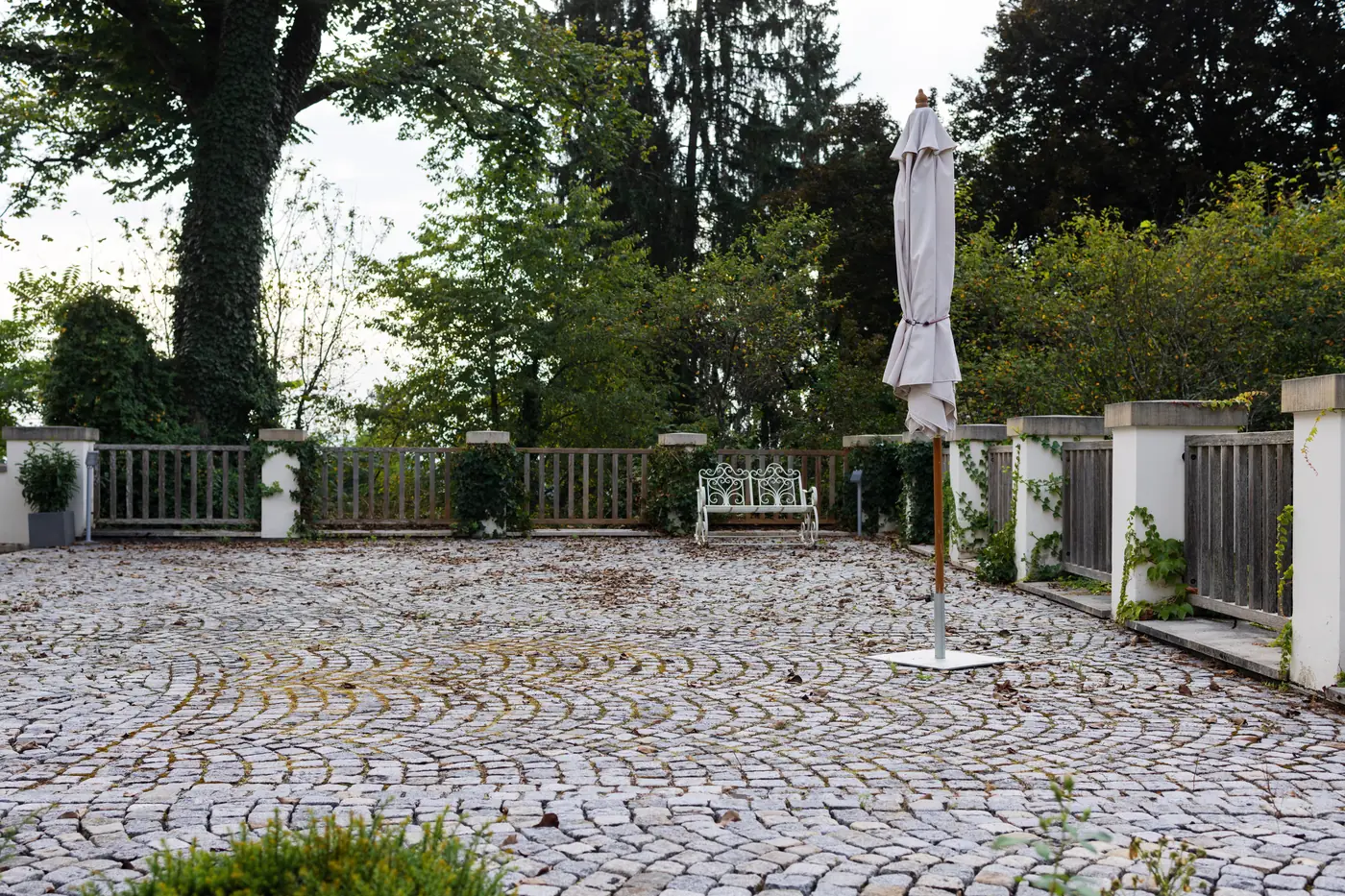 Terrasse vor der Reinigung mit grünem Algenbelag auf den Platten